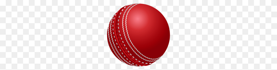 Cricket, Sphere, Ball, Cricket Ball, Sport Png