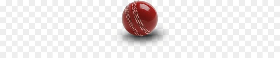 Cricket, Ball, Cricket Ball, Sport Png Image