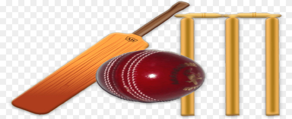 Cricket, Ball, Cricket Ball, Sport Png