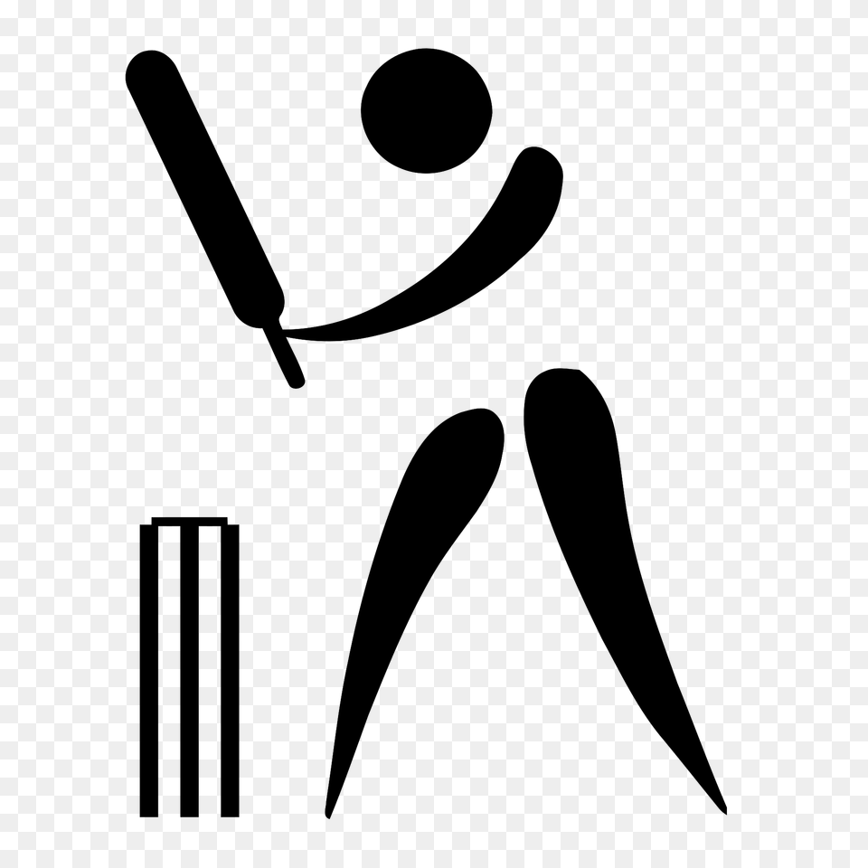 Cricket, Gray Png Image