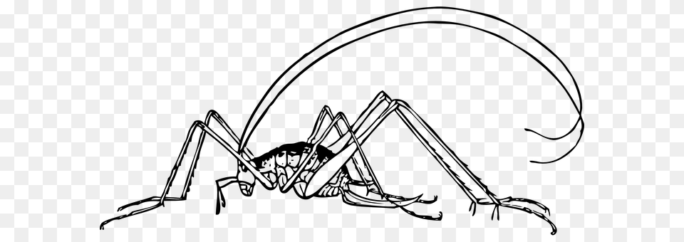 Cricket Gray Free Transparent Png