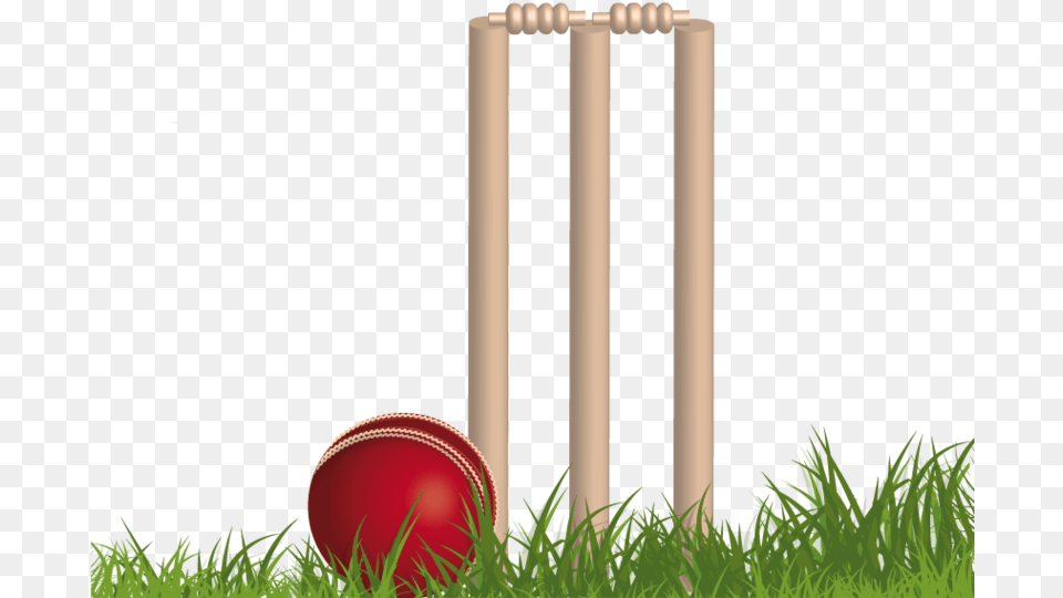 Cricket Background Image Cricket, Ball, Cricket Ball, Sport, Croquet Free Png