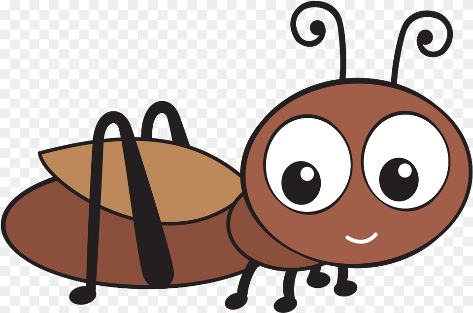 Cricket Bug Icon Clipart Download, Animal Free Png