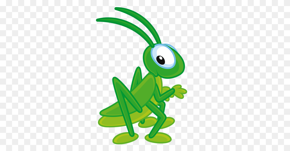Cricket Clipart, Animal, Grasshopper, Insect, Invertebrate Png
