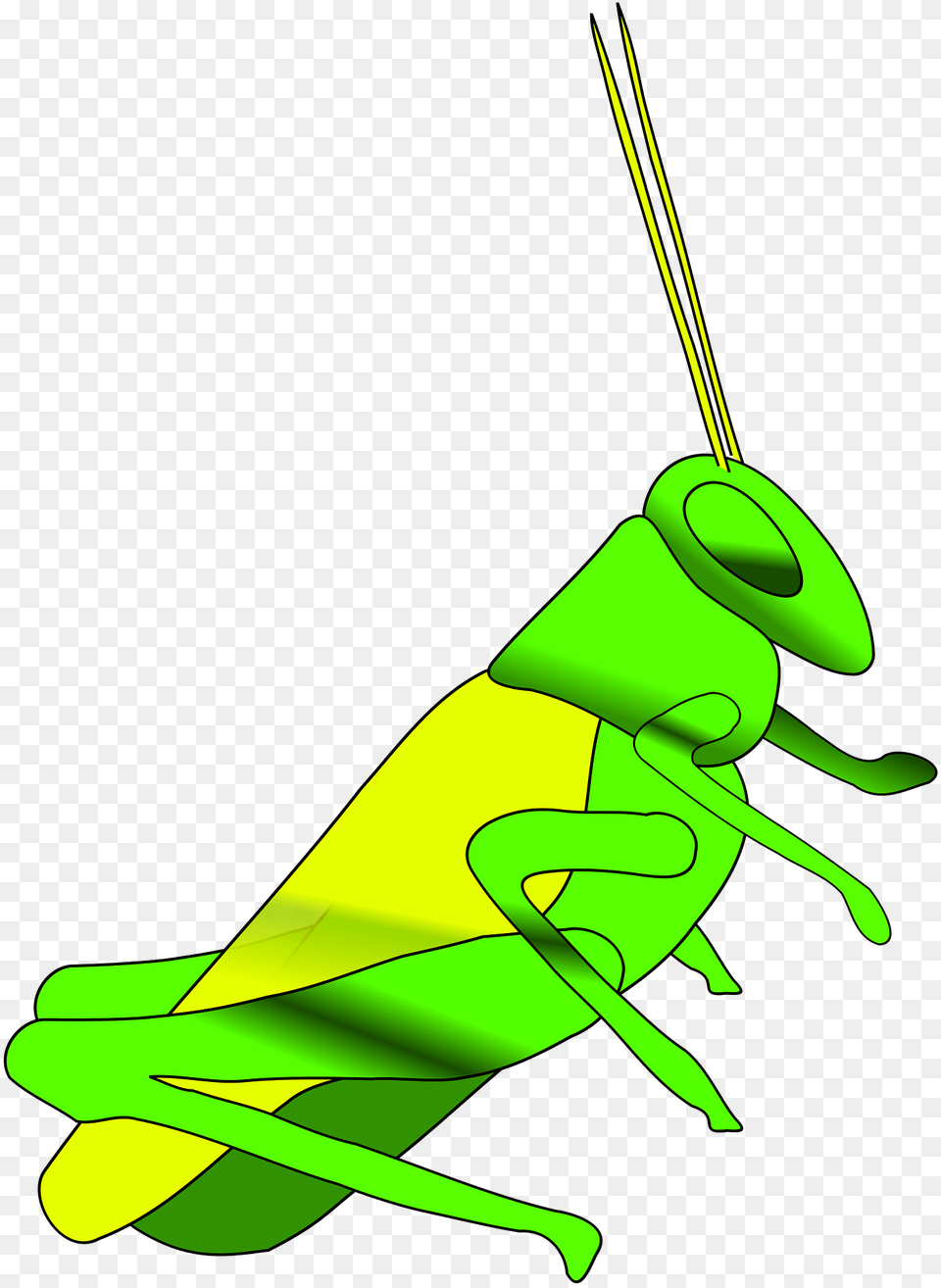 Cricket Clipart, Animal, Grasshopper, Insect, Invertebrate Free Png Download