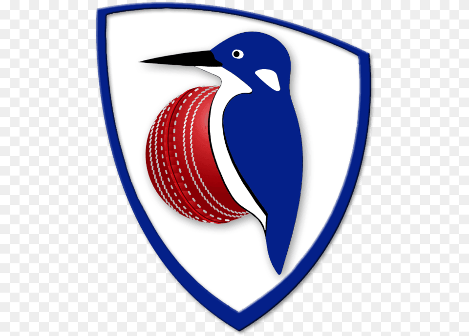 Cricket Clipart Cricket Coach Emblem, Ball, Cricket Ball, Sport Png Image