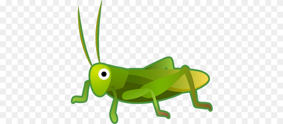 Cricket Icon Noto Emoji Animals Nature Iconset Google Android Cricket Emoji, Animal, Grasshopper, Insect, Invertebrate Png