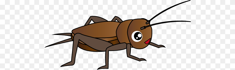 Cricket Insect, Animal, Cricket Insect, Invertebrate, Aircraft Free Transparent Png