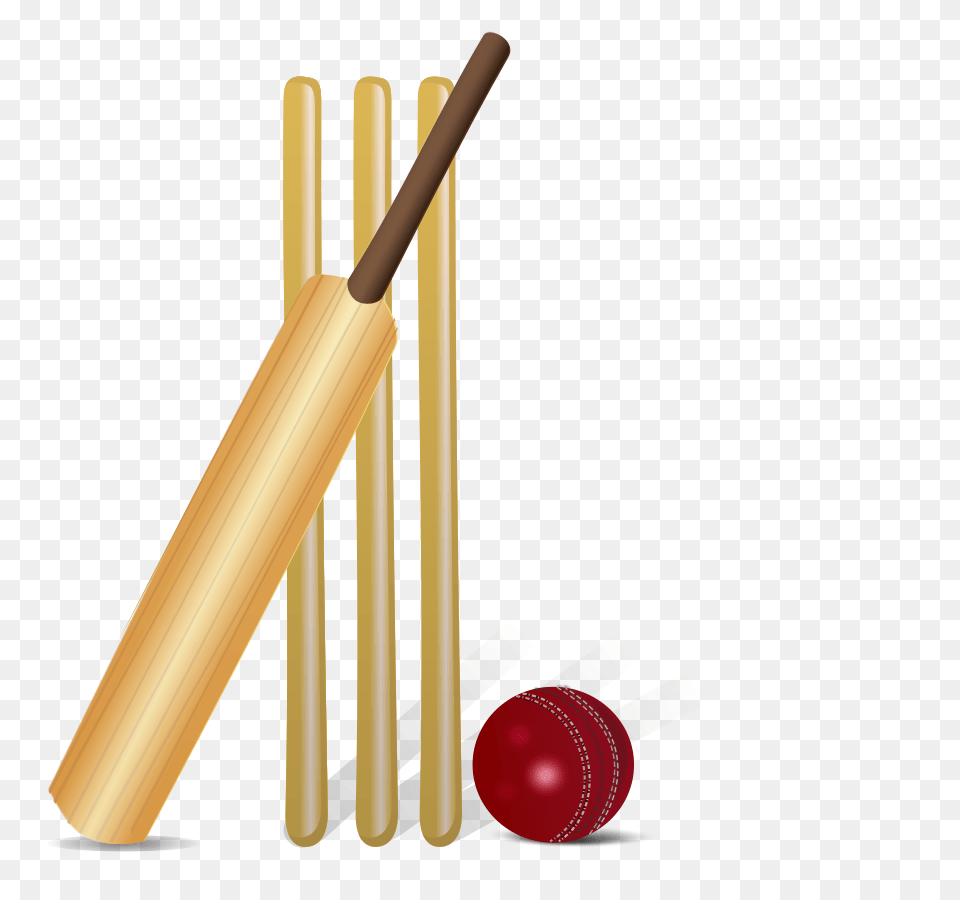 Cricket Large Size, Ball, Cricket Ball, Cricket Bat, Sport Png Image