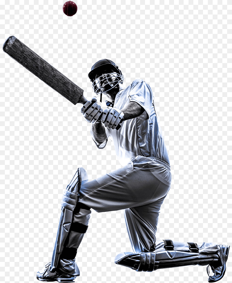 Cricket Player Cricket White Background Sport, Person, People, Adult, Man Free Png Download