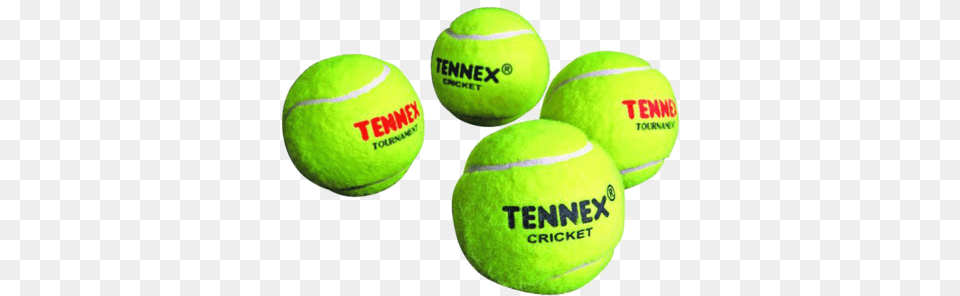 Cricket Tennis Balls Paddle Tennis, Ball, Sport, Tennis Ball Png Image