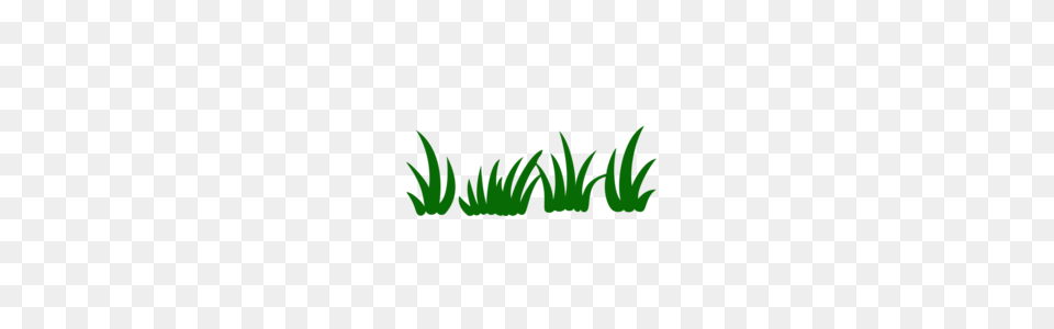 Cricut Album, Grass, Green, Plant, Leaf Free Transparent Png