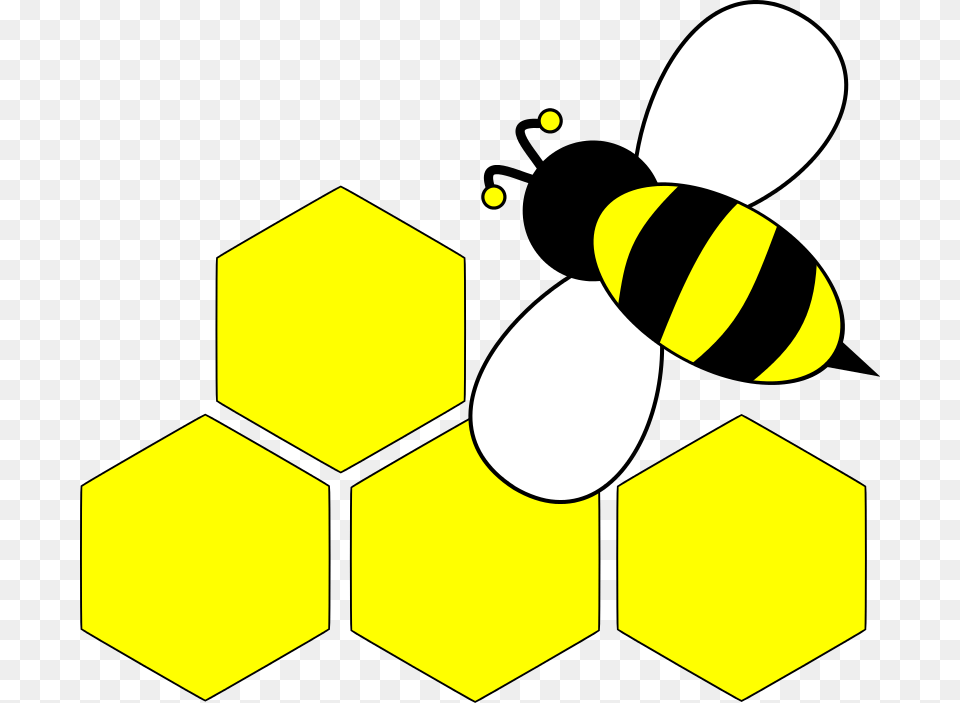 Cricut Bee, Animal, Insect, Invertebrate, Wasp Free Transparent Png