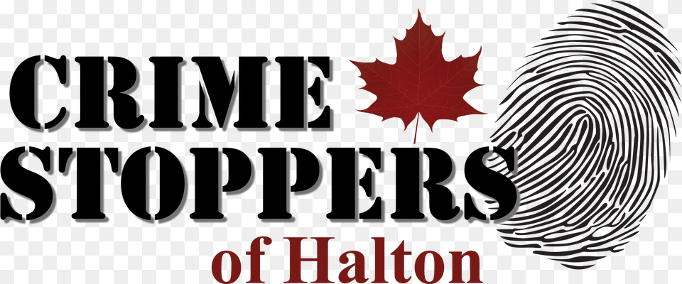 Crime Stoppers Crime Stoppers Of Halton, Leaf, Plant, Tree, Maple Free Transparent Png