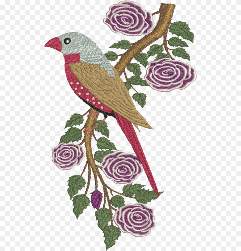 Crimson Finch, Animal, Pattern, Graphics, Floral Design Free Png