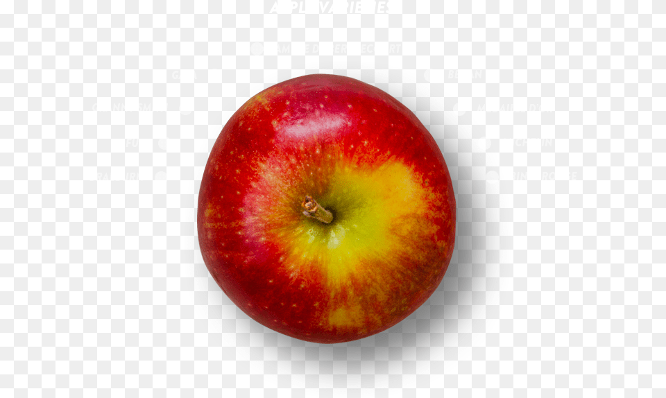 Crisp Mcintosh, Apple, Food, Fruit, Plant Free Transparent Png