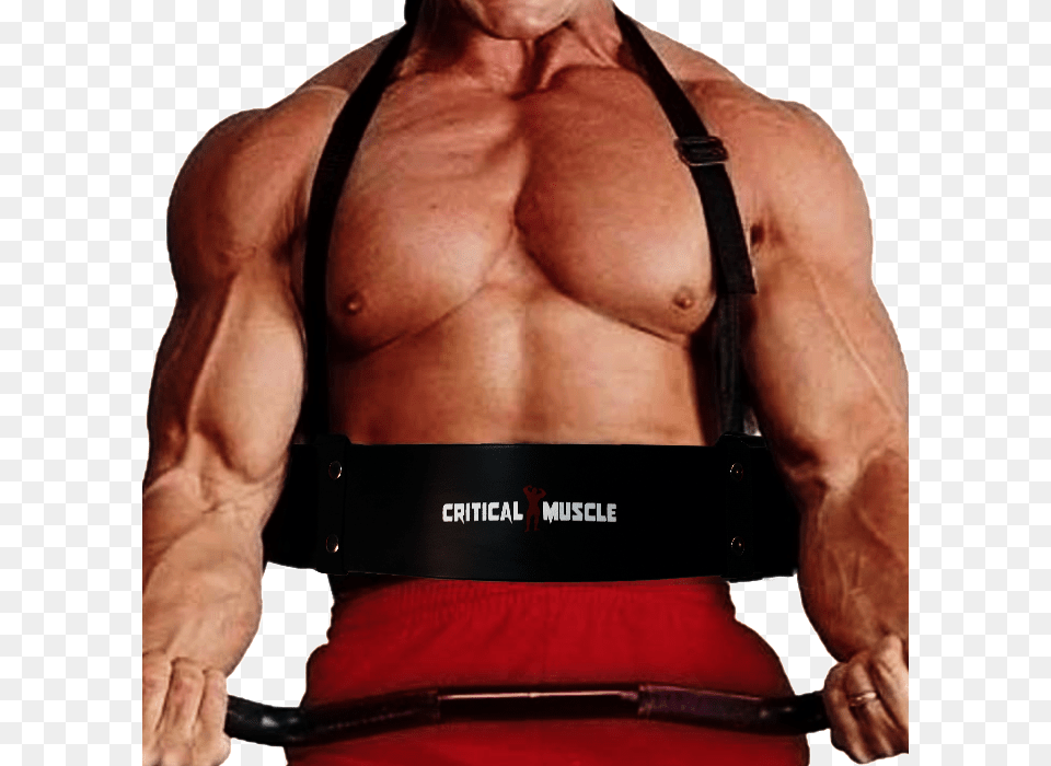 Critical Arm Blaster Biceps Bomber, Accessories, Adult, Male, Man Free Png