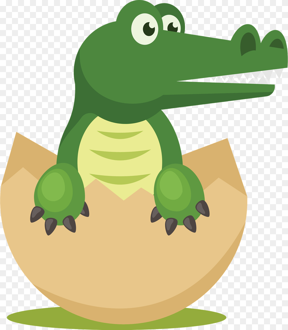 Croc In The Egg Clipart, Animal, Crocodile, Reptile, Nature Png Image