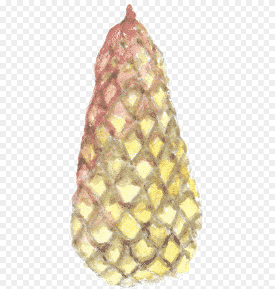 Crochet, Cone, Plant, Tree Free Transparent Png