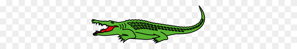 Crocodile, Animal, Reptile, Fish, Sea Life Free Png