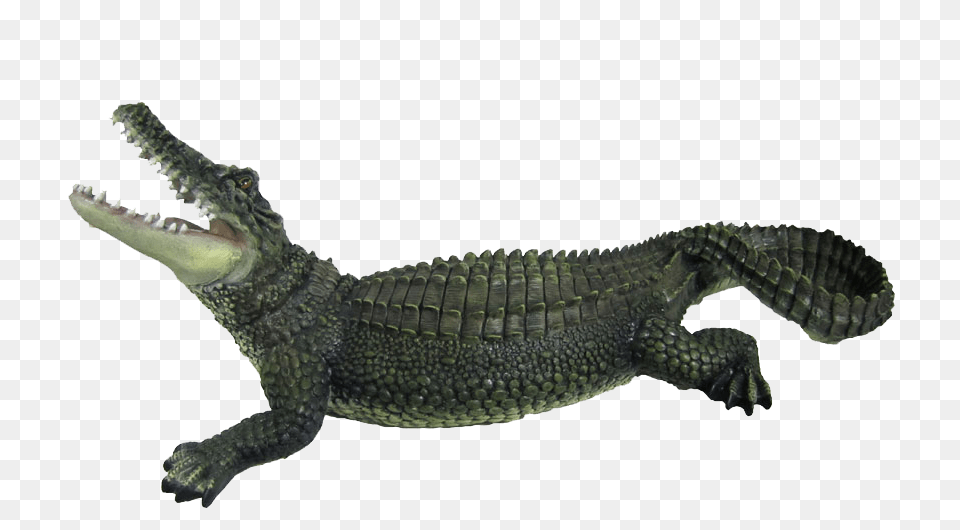 Crocodile, Animal, Lizard, Reptile Free Png