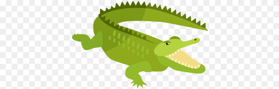 Crocodile Alligator Jaws Tail Fang Flat Imagen De Cocodrilo, Animal, Reptile, Dinosaur Free Png Download