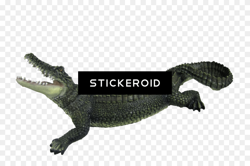 Crocodile Animals Alligators, Animal, Dinosaur, Reptile Png