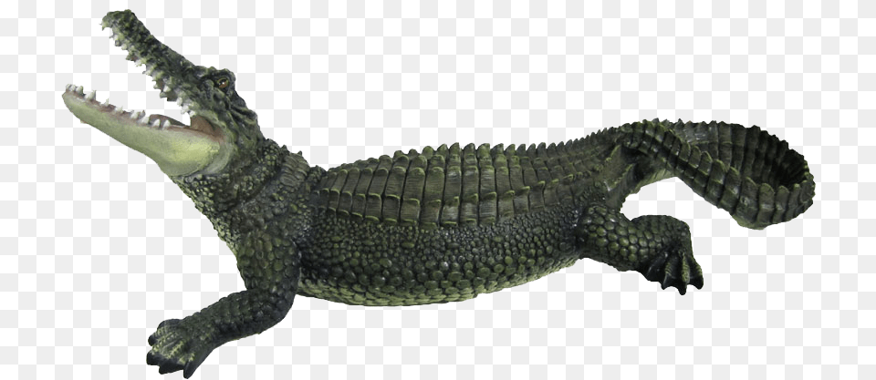 Crocodile Are To Crocodile, Animal, Lizard, Reptile Free Png Download