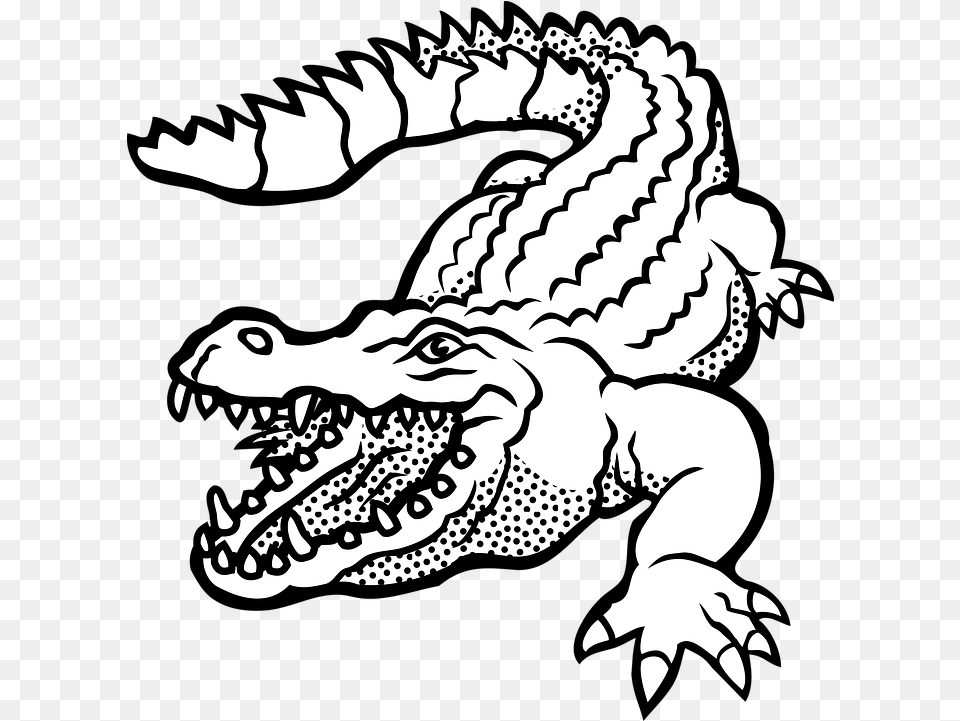 Crocodile Black And White Crocodile Line Art, Animal, Reptile, Dinosaur, Face Free Transparent Png