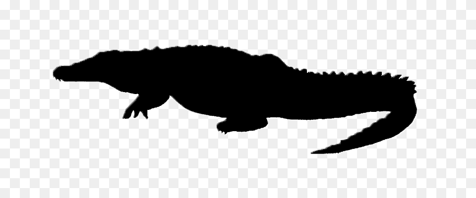Crocodile Black And White Transparent Crocodile Black, Silhouette, Animal, Reptile, Fish Png Image