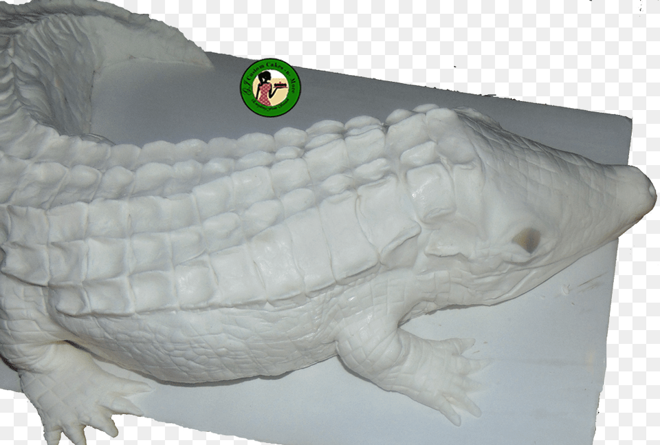 Crocodile Cake White Nile Crocodile, Animal, Fish, Sea Life, Reptile Free Transparent Png