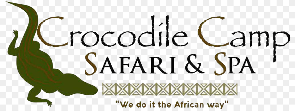 Crocodile Camp Logo Barbados, Animal, Reptile, Lizard Png