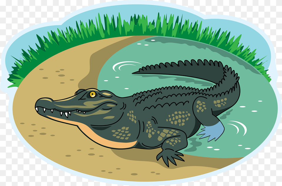 Crocodile Clipart, Animal, Reptile, Dinosaur, Fish Png