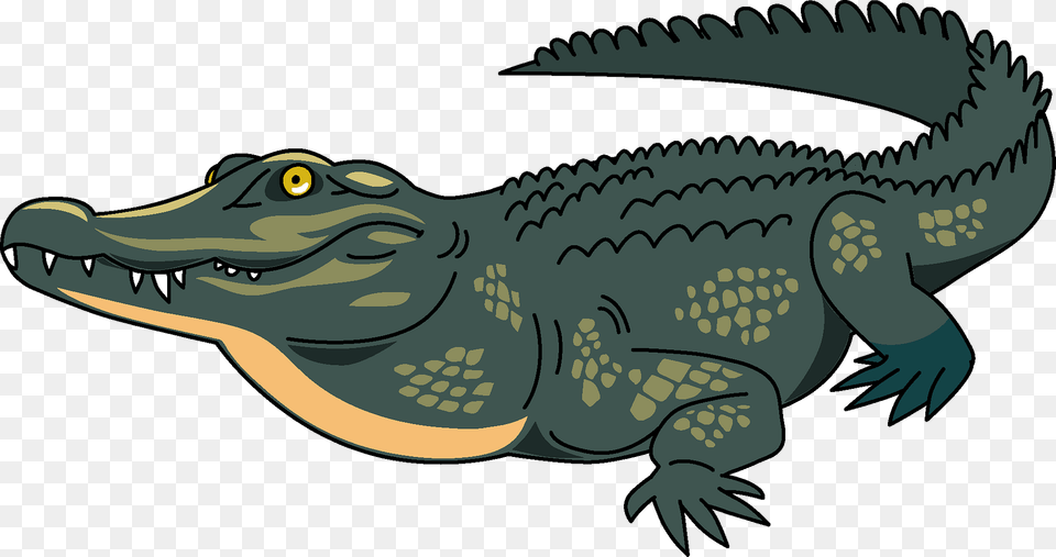 Crocodile Clipart, Animal, Reptile, Fish, Sea Life Free Transparent Png