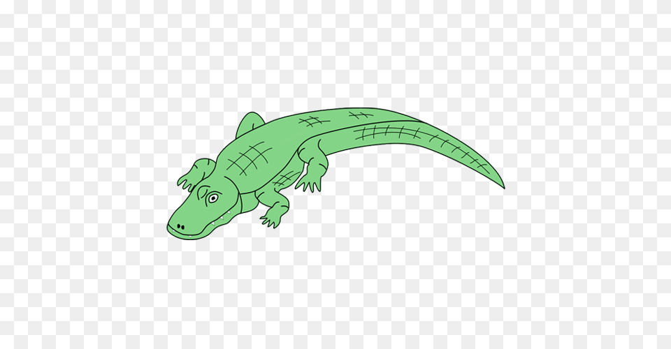 Crocodile Clipart White Background, Animal, Dinosaur, Reptile Png Image