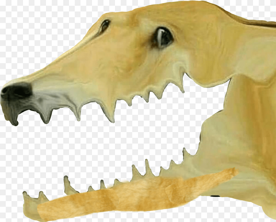 Crocodile Dogelore Fang, Body Part, Mouth, Person, Teeth Free Png