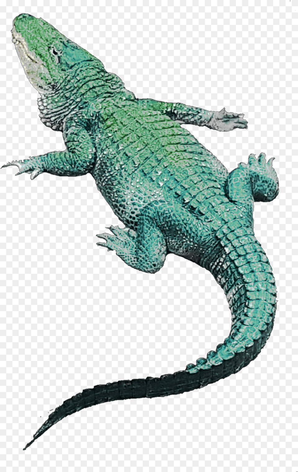 Crocodile Green Greenaestetic Green Iguana, Animal, Lizard, Reptile Free Png Download