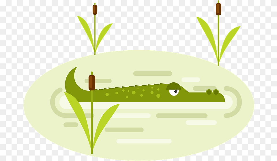 Crocodile In Water Clipart Download Transparent Illustration, Animal, Reptile Free Png