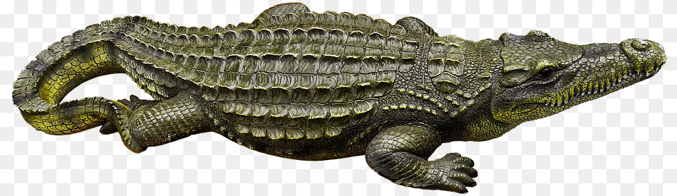 Crocodile Metal Figure Art Figure Horticulture Crocodile, Animal, Lizard, Reptile Png