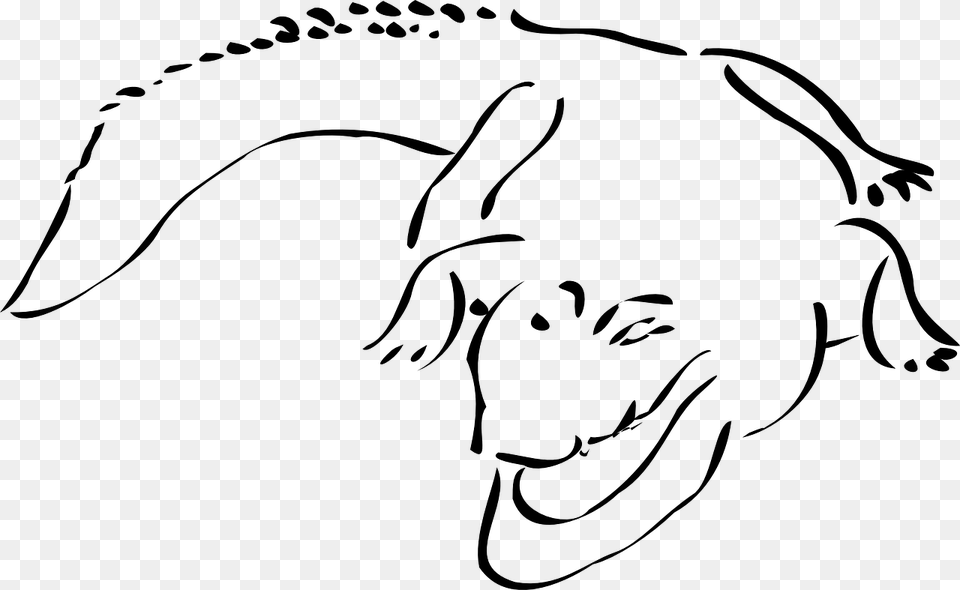 Crocodile Outline, Gray Free Png