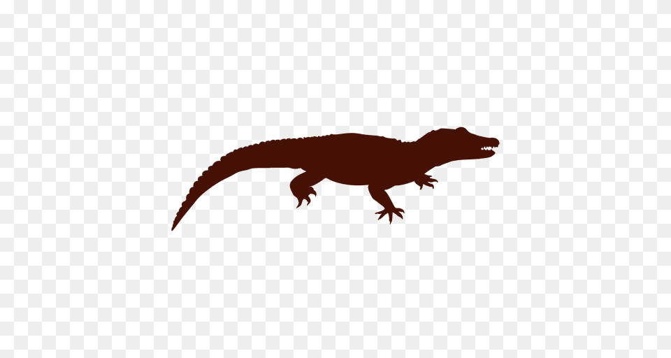 Crocodile Silhouette, Animal, Lizard, Reptile, Gecko Png Image