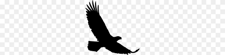 Crocodile Silhouette Pb Eagle Silhouette, Animal, Bird, Vulture, Kite Bird Png Image