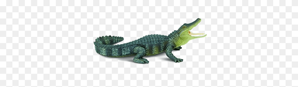 Crocodile Images Pictures Photos Arts, Animal, Lizard, Reptile Free Transparent Png