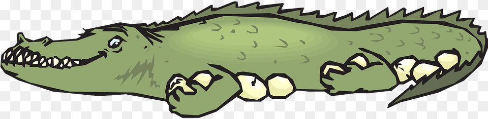 Crocodile With Eggs Clipart, Teeth, Person, Mouth, Body Part Png Image