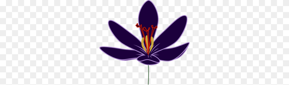 Crocus Clip Art, Anther, Flower, Plant, Petal Png Image