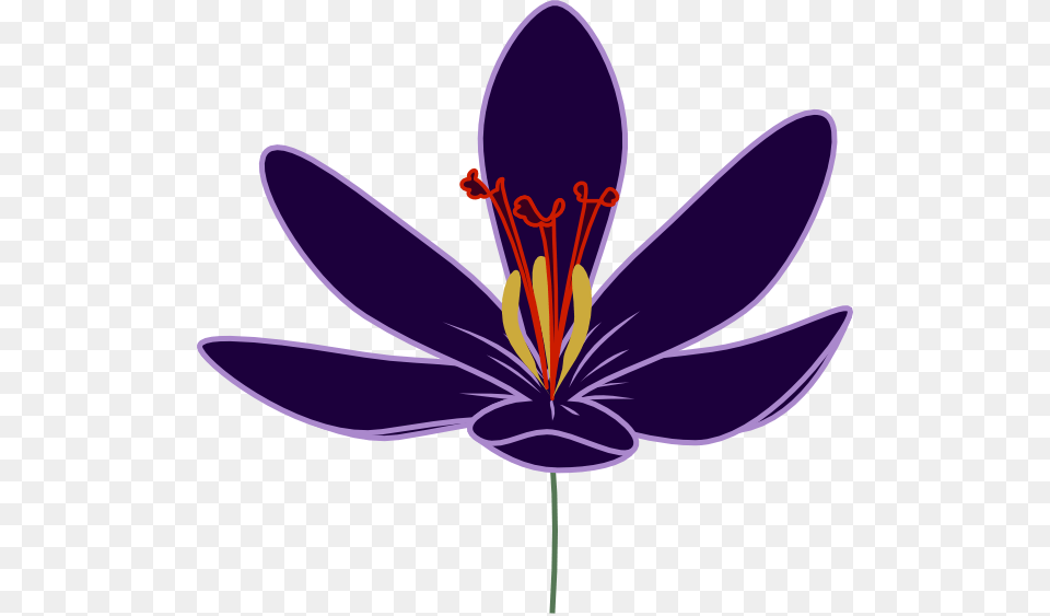 Crocus Clip Arts Download, Anther, Flower, Plant, Petal Png