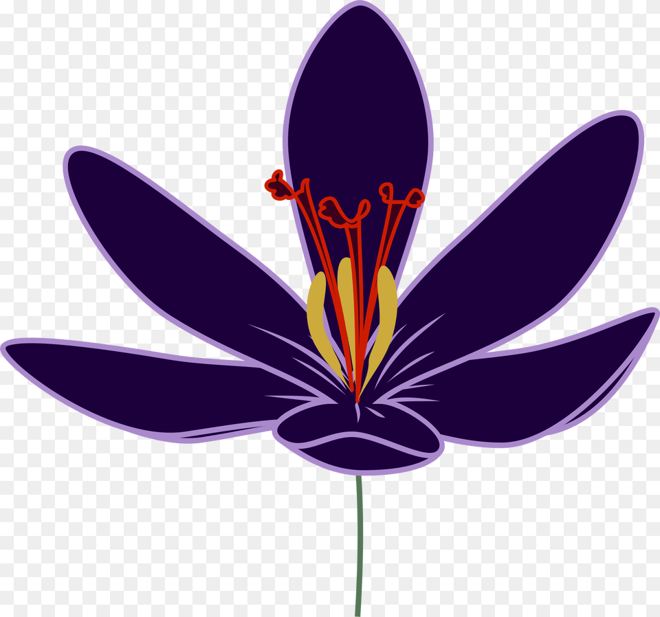 Crocus Clipart Big Flower Saffron Flower Clipart, Anther, Plant, Petal, Animal Free Png Download
