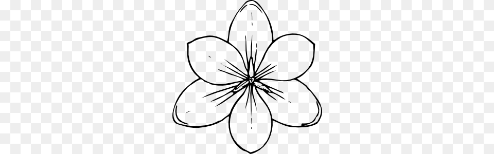 Crocus Flower Top View Clip Art, Plant, Drawing, Anemone Free Png