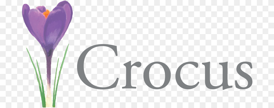 Crocus Pic Images Transparent Crocus Monaghan Logo, Flower, Plant, Petal Free Png Download