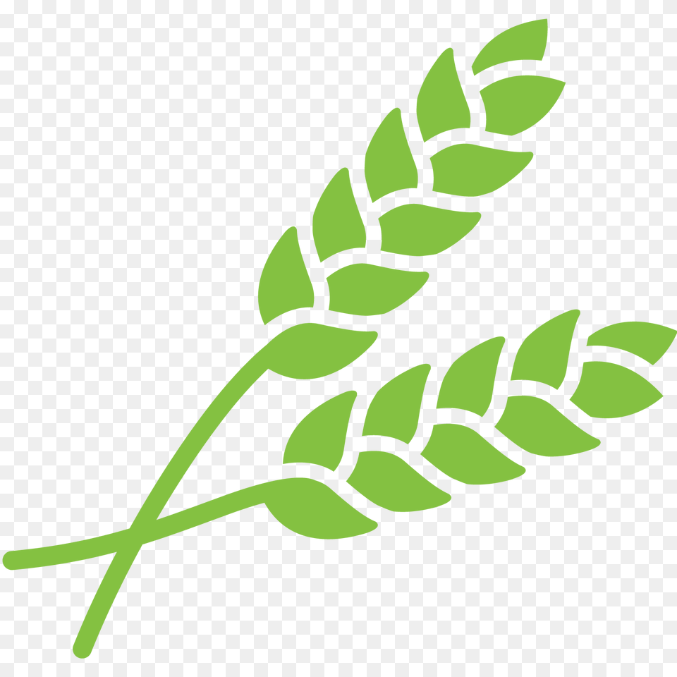 Crop, Herbal, Herbs, Leaf, Plant Free Png Download